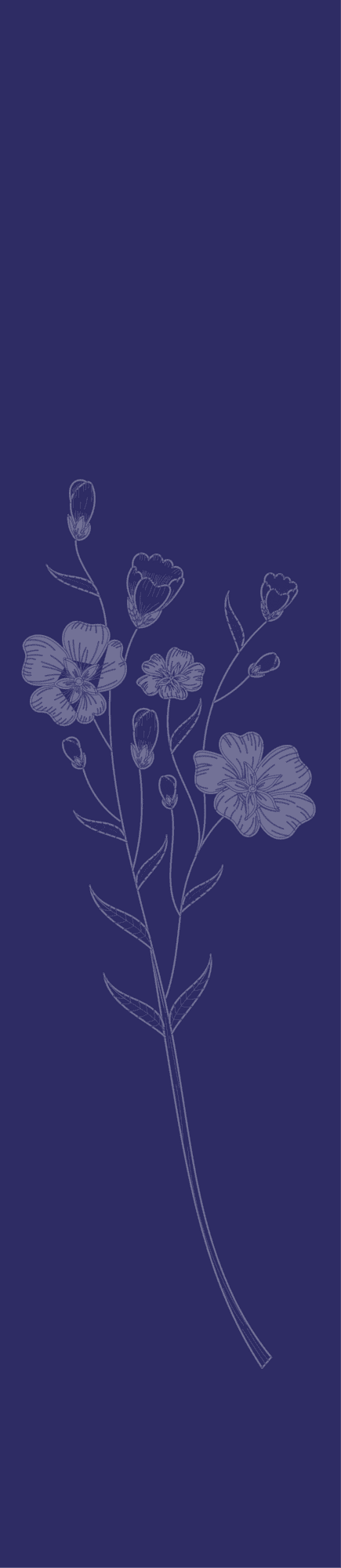 Flower Background