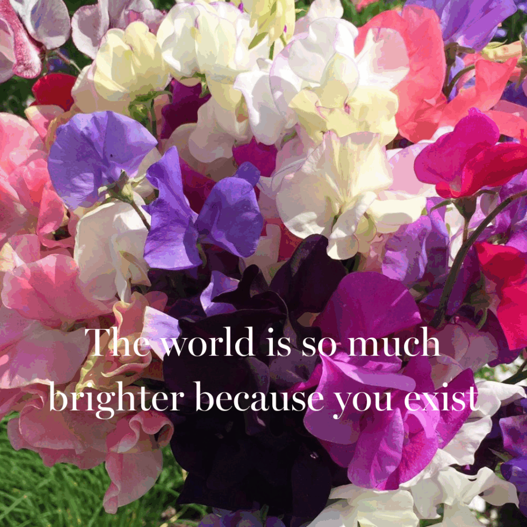 Colourful bunch of sweet peas with the words "The world is so much brighter because you exist".